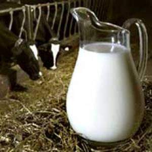 Γάλα…Η χειρότερη πηγή ασβεστίου;