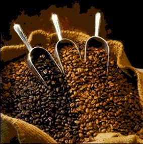 coffee beans2