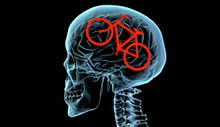 Bikes on the Brain